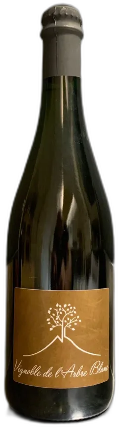 vue du vin les Fesses Frédéric Gounan, Domaine de l’Arbre Blanc