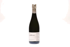 photo 2006 Millesimé Blanc de Blancs Grand Cru