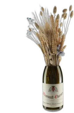 photo Vase q de Magnum Meursault 1er Cru Charmes 2011 Matrot
