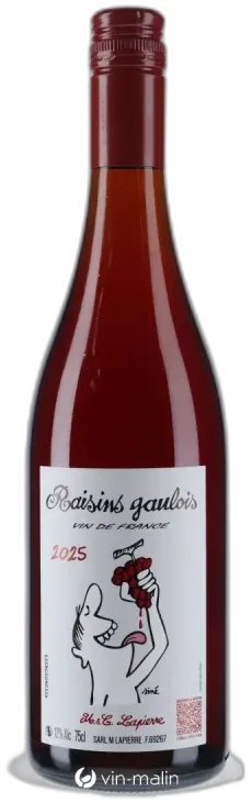 vue du vin Raisins Gaulois