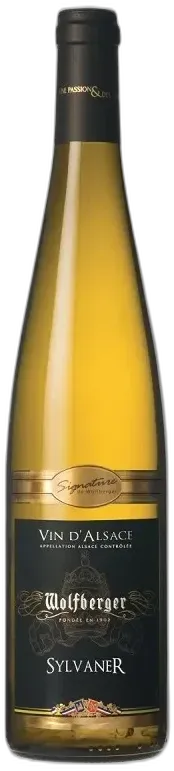 photo Clos Canarelli Amphora 2022