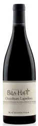 vue du vin Occultum Lapidem