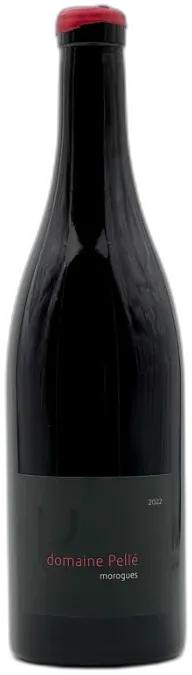 vue du vin Morogues Domaine Henry Pellé