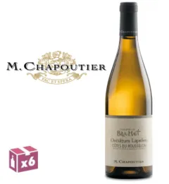 vue du vin Occultum Lapidem