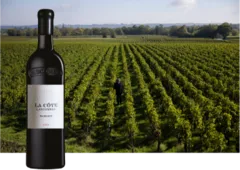 capture du vin Lascombes La Côte