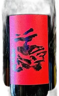 illustration du vin Gaillac Aop Astrolabe Vinovalie