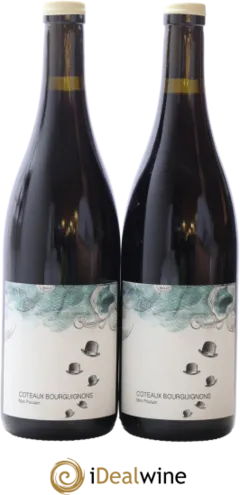 photo du vin Coteaux Bourguignons Mon Poulain les Horées
