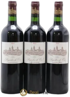 photo du vin Pagodes de Cos