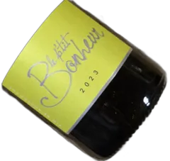 photo du vin Coteaux Bourguignons Domaine Vincent Bouzereau