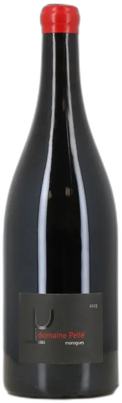 vue du vin Morogues Domaine Henry Pellé