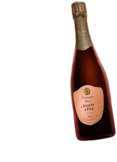 vue du vin Veuve Fourny nv