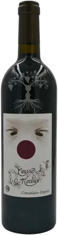 image du vin Causse Marines les Peyrouzelles