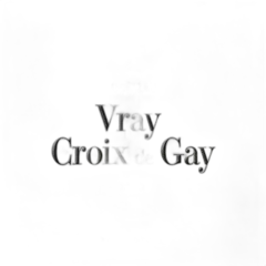 aperçu du vin Château Vray Croix de Gay