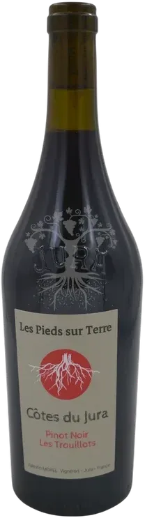 illustration du vin Pinot Noir les Trouillots