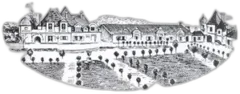 photo du vin Rauzan Segla