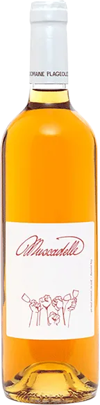 illustration du vin Muscadelle