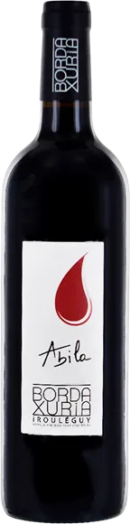 vue du vin Domaine Bordaxuria Irouléguy Rouge
