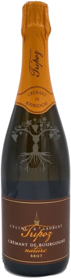 illustration du vin Bourgogne Pinot Noir