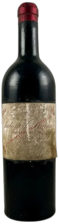 photo du vin Château Branaire Ducru 2010