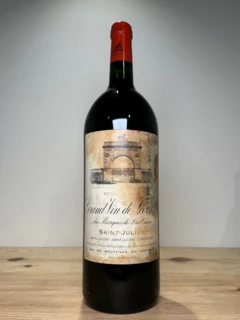 photo Magnum Château Leoville Las Cases Grand Vin de Leoville Saint Julien 1996