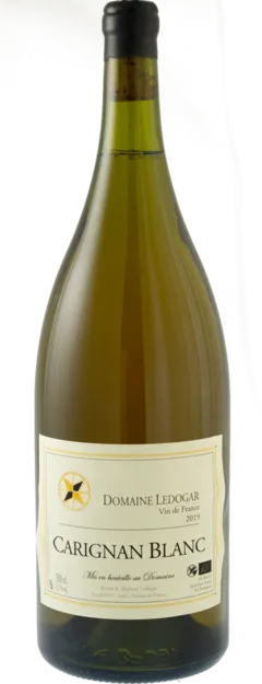 illustration du vin Carignan Blanc