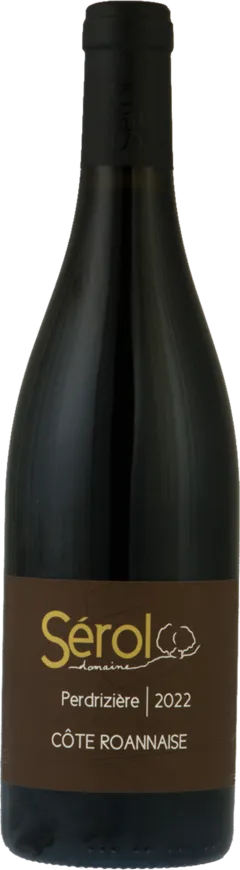 vue du vin Côte Roannaise Eclat de Granite