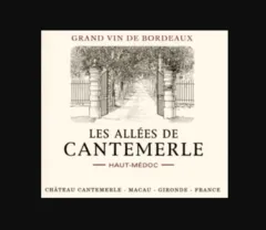 image du vin Château Cantemerle