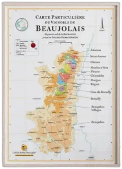 vue du vin La Carte des Vins du Beaujolais