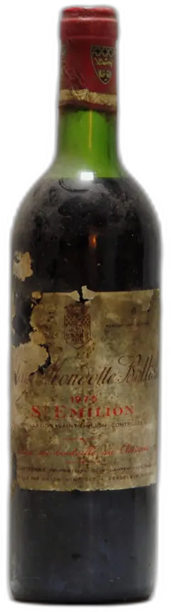 vue du vin Château Mondotte Bellisle