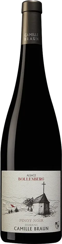 vue du vin Alsace Coteaux Calcaires Pinot Noir