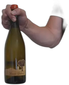 image du vin La Croix Gratiot Mais tu Badines