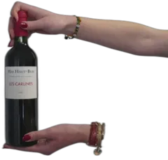 aperçu du vin les Carlines