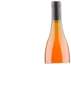 vue du vin Marsannay Rosé Sylvain Pataille