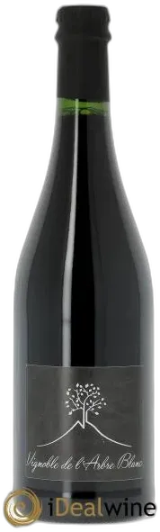 image du vin Les Orgues