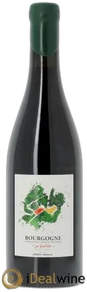 vue du vin Bourgogne les Veuillots Jérémy Arnaud