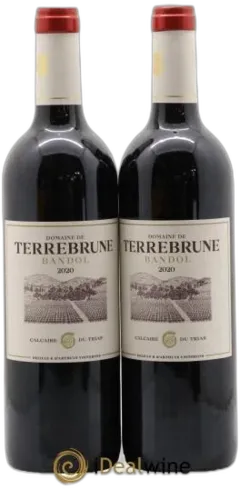 vue du vin Domaine de Terrebrune