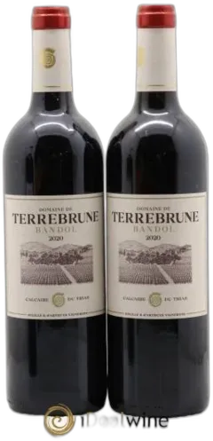 vue du vin Domaine de Terrebrune