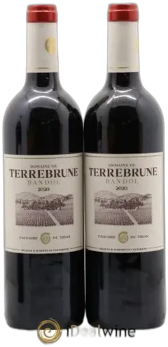 vue du vin Domaine de Terrebrune