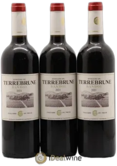 vue du vin Domaine de Terrebrune