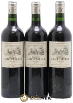 image du vin Château Cantemerle