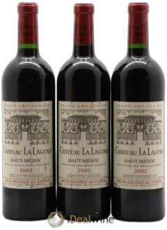 vue du vin Château la Lagune