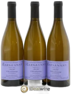 illustration du vin Marsannay Sylvain Pataille