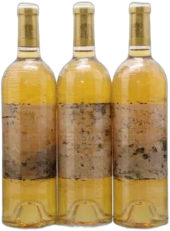 image du vin Château Coutet