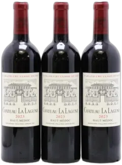 vue du vin Château la Lagune