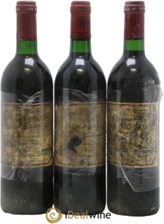 photo du vin Château Lynch-Moussas