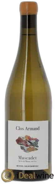 vue du vin Vin Vignes Saint-Vincent les Vignes Saint-Vincent