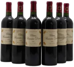 vue du vin Château Branaire Ducru 2010