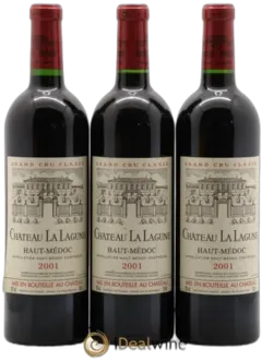 vue du vin Château la Lagune