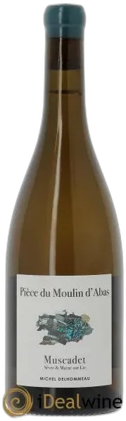 vue du vin Vin Vignes Saint-Vincent les Vignes Saint-Vincent