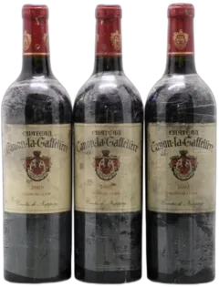 photo du vin Château Canon la Gaffeliere